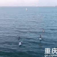 ��ˣ�ں��ϡ����ٴ���ȥ���߹�ů������������·�ߣ�һ��Ҫ�˽⣡