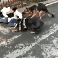 ������ҧ�����������������ɿڣ��ܶ��˲�֪����