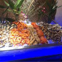 Լ۱ߵͣӵƵĪ+11½ʲô