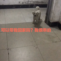 �޳�������ֻϣ���������Ҹ��������������Ĳ�ʺ�٣��ѱ�������