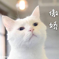 ֪����Ϊʲô����װ�޹�˾��