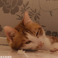 ���˵����������޷��ֿ�~