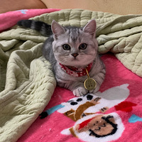 ߣèһʱˬ������ǧ���ѡ���