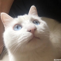���ǿ�������ֻè��û��
