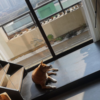 Ӳ�չ�ҵ����������ԭľ�磬������ƣ���2019-4���ϼ���Ҵ�����