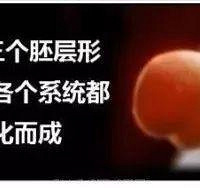 ڸ̥֮ܵǰ֪̥ı仯