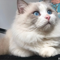 è����Ů���� 11���²�ż�ܵ���Ů����
