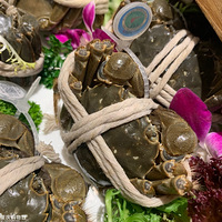 ϣپƵ꣬ץסբзβ+áʳ