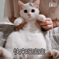 ��¼һЩһë�ճ�