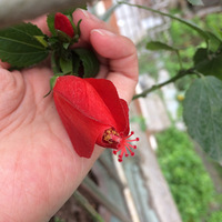 ��֪���Ļ�������