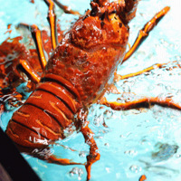 ˾52ʵֲʿϺɡĿϰп