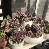 �����3��Ͱ������Ǵӳ������������ġ�2019����ɹ�������