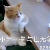 �������ӡ�������һ�ڵ�Ϸ��è�䣡