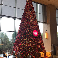 2020ҹƵӵɽһ߽ʤ⡣