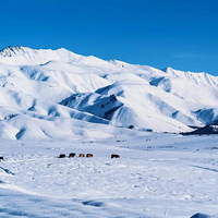 ������½���������ŷͯ���ľ���