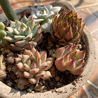 ����������⵽�Լ�����һ·������2019����ɹ�������