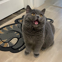 Ӣ�̴����ܵ�����
