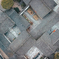 ������������������������Ұ������è��