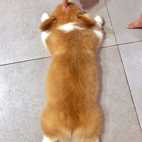 ɽ�ô����Ĵ�������Խ��Խ���ˣ�