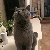 ������С�����ϱ��
