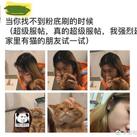 �����Ҳ����۵�ˢ����è��ʱ��