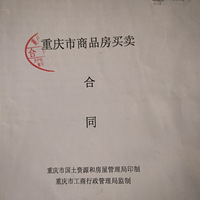 ʼſӵ档