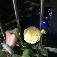 ���¼���ĺ�ʡ�İ������춼���ڿ���