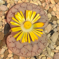 ��Խ��Խ��������ã�+��2019����ɹ�������