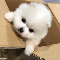 ��˵������������������ѩ��ؼҵ�һ�죬��������һ��������˯��