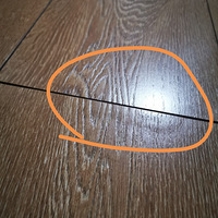 ���ع���ʥ��ľ�ذ壬�ۺ�Ҳ��