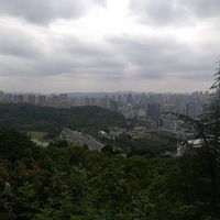 Ҿϲ˾ӵ죡