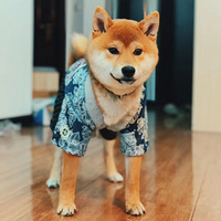 ��һֻ����