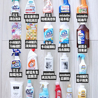 2019����������ܽ�����