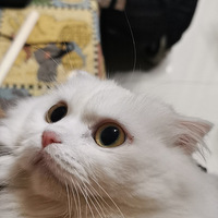 ���Ѽҵ�ĸè������Ů���������ˣ���������С����
