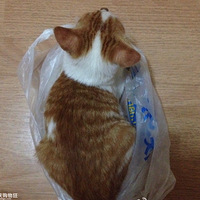 ���è��Ҫ�����ͣ����ŷ��žͱ��ˣ�