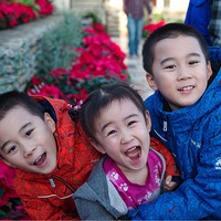 ��Ҷ��С��������ɹ�ޡ�