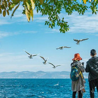 �����Լݳ��Σ�ȥ��������ĸ��ɺ�̽Ѱ���׳�û�˵Ĺų�