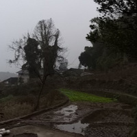 ũ尲зܶ