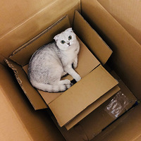 ���ⷿ�����ռ� �Լ����� ������ʳ �������ĵ÷�����