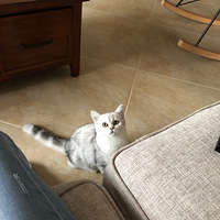 �Ҽ�⨺���ʢ������