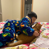 լ�ڼ�ֻ��ߣè���ޡ����޹��꡿