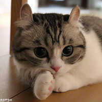 ������լ���ճ���С���ȵ������˽�һ�£�