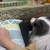 ���ȳ�լ���ճ�����˵���Һ�����...