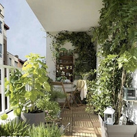 ��������̫�࣬������������������ͼ��