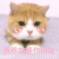 ˽ں⣬ûʲôĿԹ