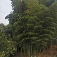 ����������ɫ�࣬��������żҡ���������