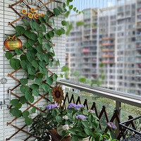 60�OС�ҵĹ�������ÿ��996�ֺη���