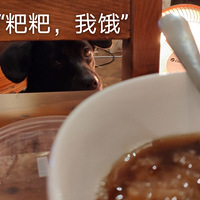 һ�Զ����͸��㶢��