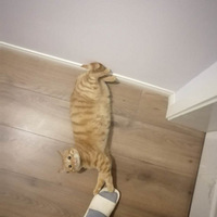 �ҷ�����Խ��Խ�񶬹���