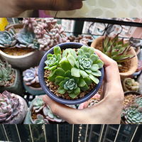 ���ʱ��Ĵ�������������ڣ�Ӧ֤��ֻҪ�����ܻ����ġ�����